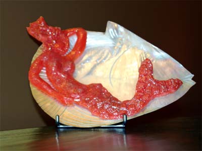 Sirena sobre caracol (2007)